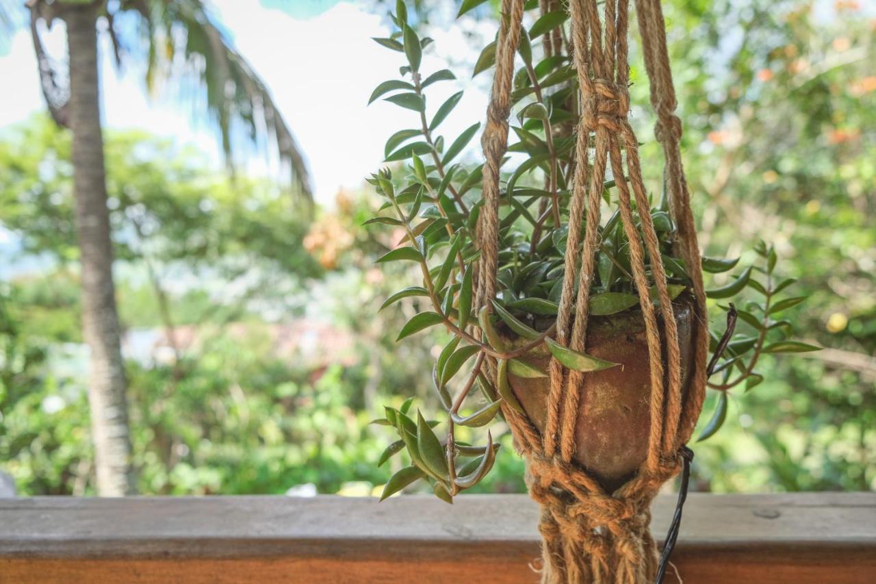 Estacion Biologica Aguali Pansiyon Matagalpa Dış mekan fotoğraf