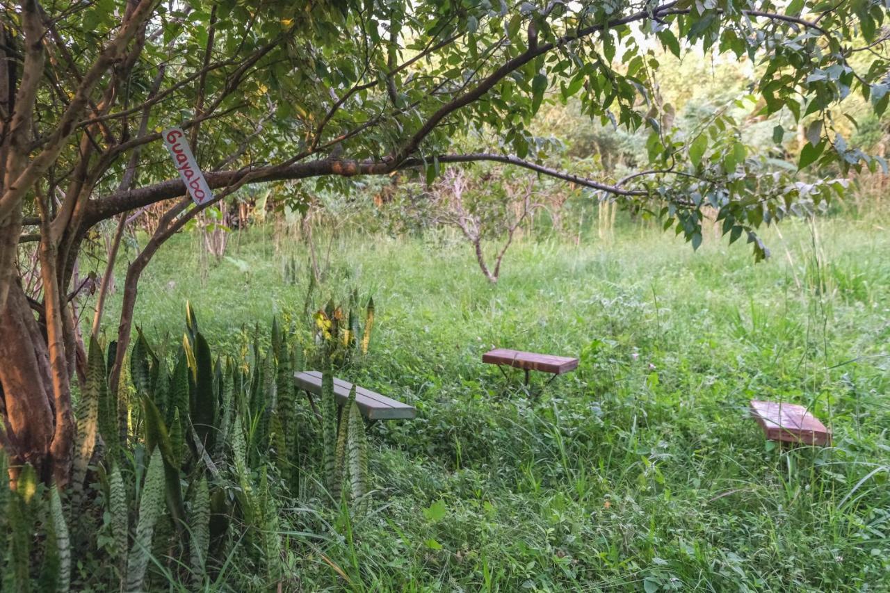 Estacion Biologica Aguali Pansiyon Matagalpa Dış mekan fotoğraf